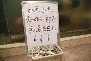 毒硬币今日爆料,今日爆料带你探秘虚拟货币世界